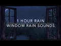 Download Lagu Heavy Rain and Thunder - Window Rain Sound - 1 hour Rain Sounds for Sleep - Green noise