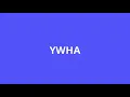 what is the meaning of YWHA