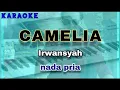 Download Lagu Karaoke CAMELIA nada pria | Irwansyah