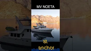 57 Nordhavn Noeta Anchored with Dolphins 🐬