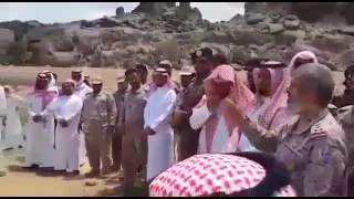 شتشت دندنها