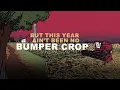 Craig Morgan & Lainey Wilson - International Harvester (Lyric Video)