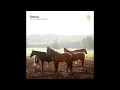 Tosca - Pony No Hassle Versions (2010)
