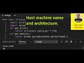 Python Check if host machine has 32 bit or 64 bit processor architecture and name
