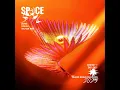 Space - Zerb, Odeal & Victor Ray