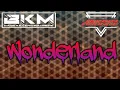 Download Lagu WONDERLAND || RINO ANUNDE_BKM🔥😎
