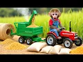 Download Lagu Monkey Nana drove the tractor to the vineyard early in the morning to start harvesting