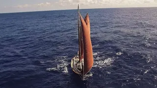 Transatlantic Return, Ep. 3: No one stops for a gam anymore