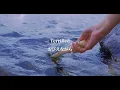 Download Lagu Message In A Bottle - Taylor Swift Taylor's Version (lyrics video)