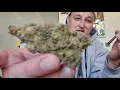 Chronor McGregor Cannabis Review - Miracle Alien Cookies aka Mac or Mac1 bred by Capulator Caps cut