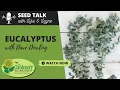 Seed Talk - Eucalyptus with Dave Dowling
