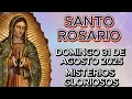 Download Lagu Santo Rosario del Domingo 31 de agosto 2025 🙏 Misterios Gloriosos | Virgen de Guadalupe