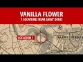 7 Vanilla Flower Locations Near Saint Denis