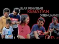 Download Lagu BUKAN WELANG! INILAH JENIS ULAR YANG G1GIT ORANG TUA HERI