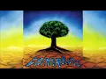 Chimarruts - Chapéu de palha