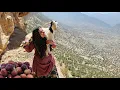 Download Lagu ⛰️🐑 Kulthum's incredible story: from baking bread to rescuing a goat in the mountains 🌄💪
