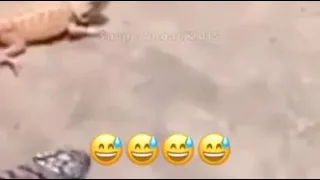 تبون اي محتوائ كورة مقاطع مضحكه افلام رعب 