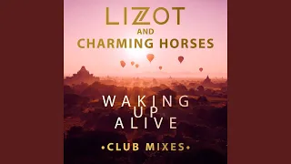 waking up alive extended mix 