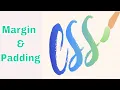 Margin and Padding in CSS CSS tutorial