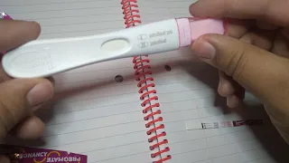 pregmate and first response testing