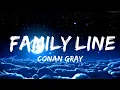 Download Lagu Conan Gray - Family Line (Lyrics) | All that i did to try to undo it  | 30mins - Feeling your music