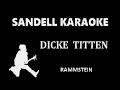 Download Lagu Rammstein - Dicke Titten [Karaoke]