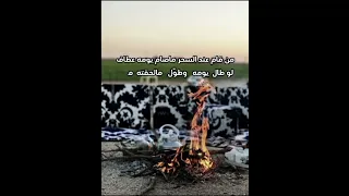 الجائرات ان جلن تهواء النفوس العفاف شعر ابوعمر شعر محمد مشعجل قال بن سلمان مشعجل عود قصيد اكسبلور 