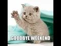 Download Lagu Einde weekend sessies met The Mafferik \u0026 3er____