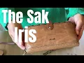 The Sak Iris Large Smartphone Crossbody Purse