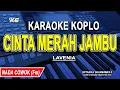 Download Lagu CINTA MERAH JAMBU - Karaoke Koplo Nada PRIA | COWOK | LAVENIA
