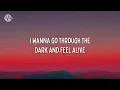 Sam Feldt & Rosa Linn - Heart Like Mine (Lyrics)