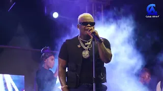 harmonize usia live performance in palm village