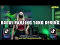 Download Lagu DJ MATI ATAU HILANG PERASAANMU X DJ BAGAI RANTING YANG KERING REMIX FULL BASS VIRAL DI TIK TOK