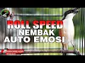 Lagu CENDET GACOR FULL ISIAN ROLL SPEED TEMBAKAN TAJAM COCOK UNTUK TERAPI DAN MASTERAN CENDET MACET BUNYI