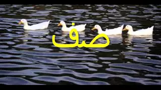 Long O الوحده السابعه صوتيات الصف الثالث الابتدائي  Long O الوحده السابعه صوتيات الصف الثالث الابتدائي