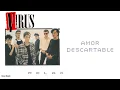 Virus - Amor Descartable (Official Audio)