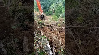 malaking manga bato