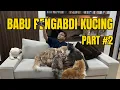 Download Lagu POV: Hari Minggu Pengabdi Kucing (PART #2)