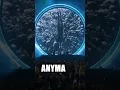 Lagu Anyma great performance #dj #electronicmusic #techno