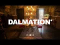 J Balvin, Ryan Castro - Dalmation (Visualizer)