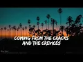 Skrillex, PinkPantheress & Trippie Redd - Way Back (Lyrics) - Full Audio, 4k Video