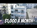 What 1 000 Gets You in Miami Beach Studio Tour