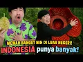 Download Lagu Di AMERIKA Musim Duren! -Mewah di Luar Negeri, di INDONESIA Kebanyakan Nih! (Video Kompilasi)