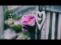 一串心--沈雁 動態歌詞 Lyrics 『心串串　心蹦蹦　臉兒紅　都是為了你』