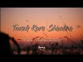 Download Lagu TANEH KARO SIMALEM - INSTRUMENTAL KULCAPI KARO (prod. Trihadi Ginting)