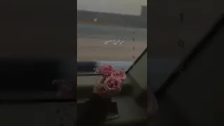 ترى العمر ينقص وحبه يزيز    دندنها