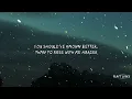 Alok, Kickbait & CERES - Black Widow (Lyrics)