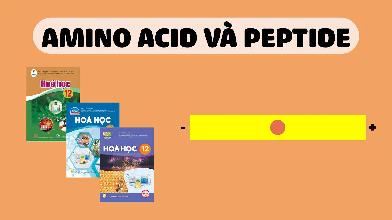 [HÓA 12] AMINO ACID VÀ PEPTIDE (Sách Cánh Diều, Chân Trời Sáng Tạo, Kết Nối Tri Thức)