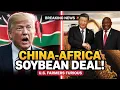 “China Teams Up With Africa for Giant Soybean Farms — U.S. Farmers Call It a Disaster”