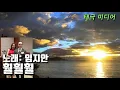 트롯신이떳다 가수 임지안  ~훨훨 훨~~  트로트 가수 숨어있던 잠龍  고수가 나타났다!